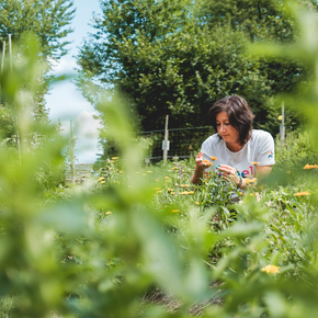 Giardino didattico di piante officinali e aromatiche