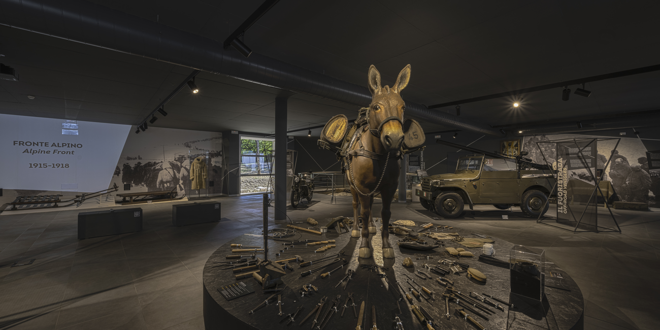 Historisches Nationalmuseum der Alpini - Doss Trento #1