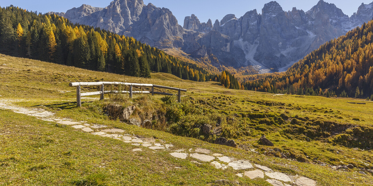 © Alessandro Gruzza 