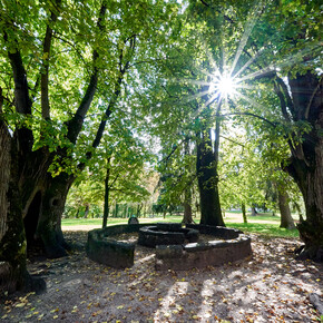 Val di Fiemme - Cavalese - Parco della Pieve - Banco de la Reson