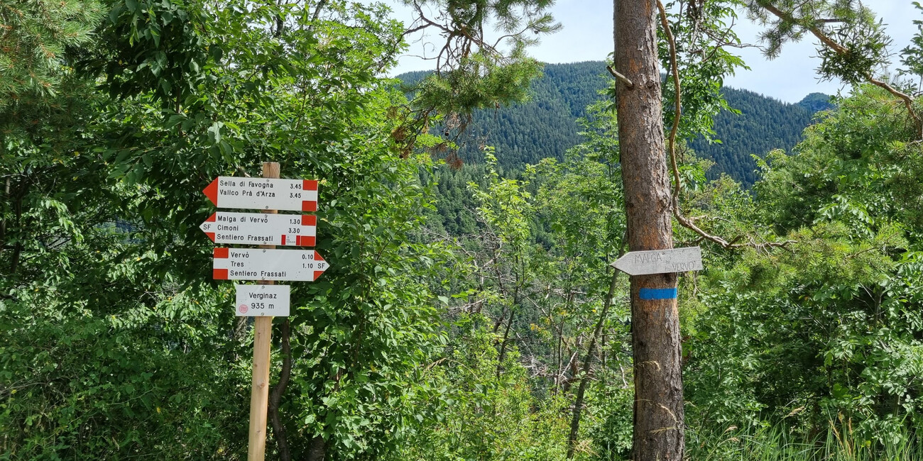 © Archivio fotografico ApT Val di Non 