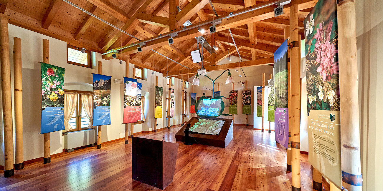 © Paolo Bisti - Luconi 