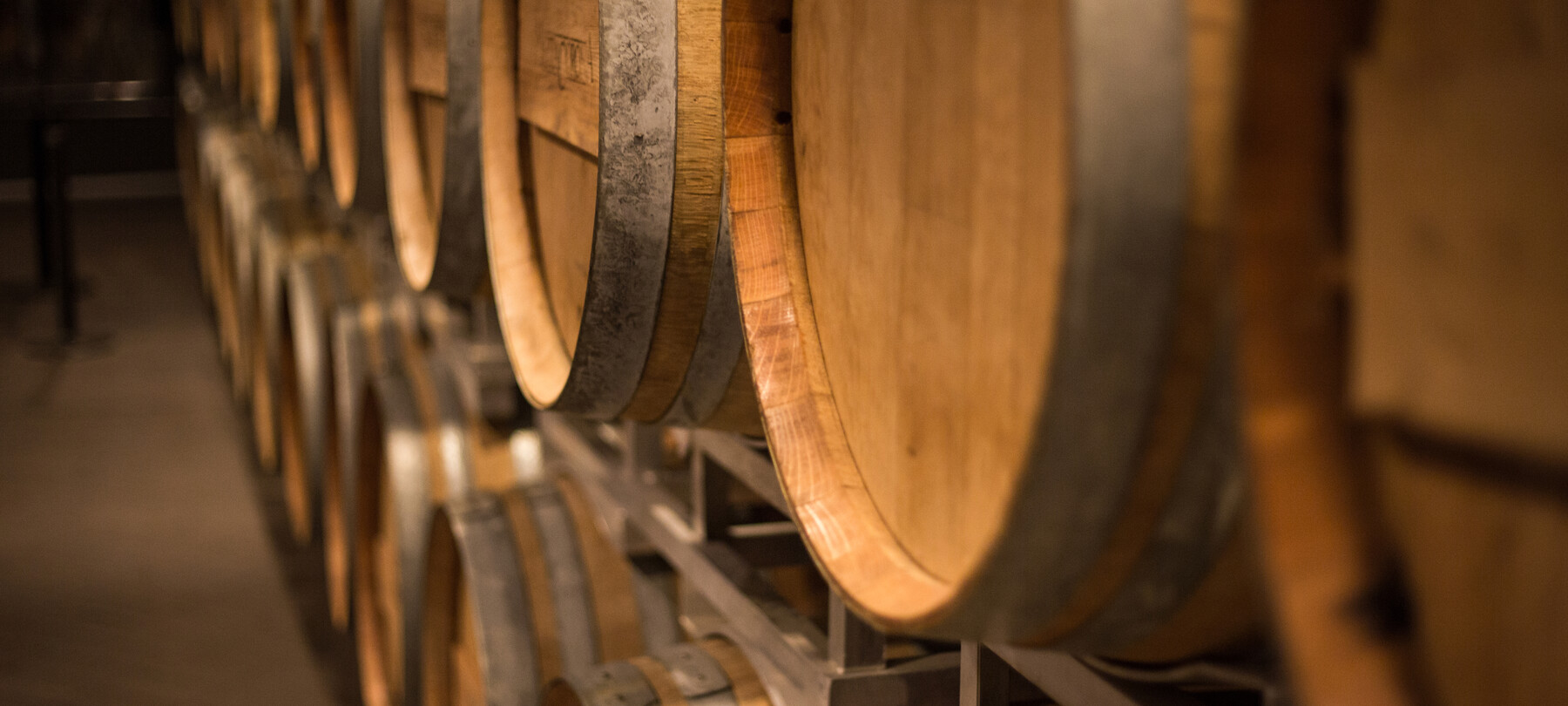 Weintourismus: Den Teroldego auf der Piana Rotaliana entdecken