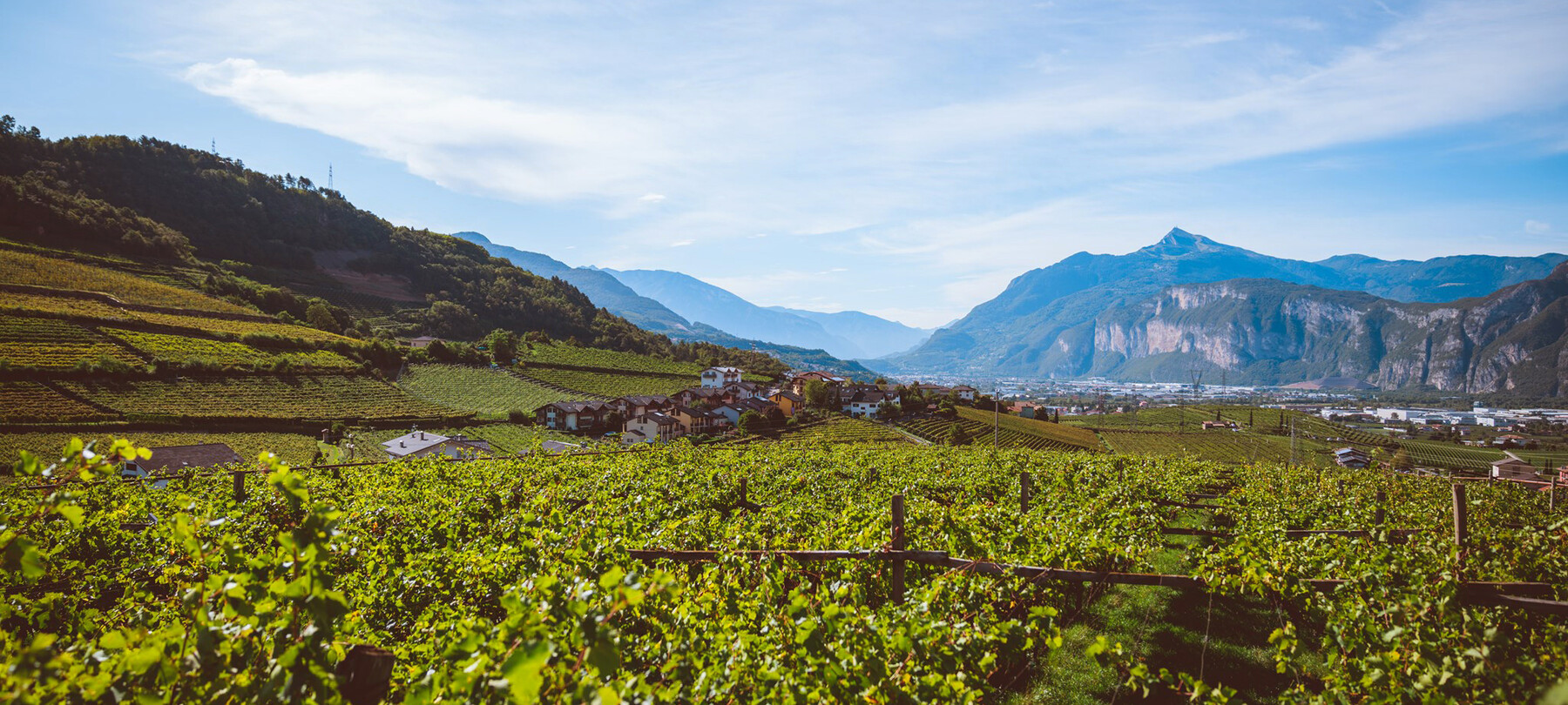 Vineyard Trails: different Ways To Enjoy Wine Trekking In Trentino