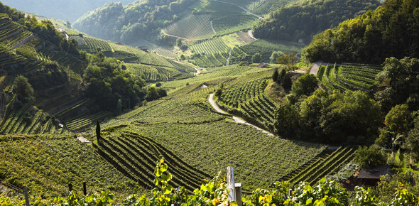 A journey into the taste of Eastern Trentino