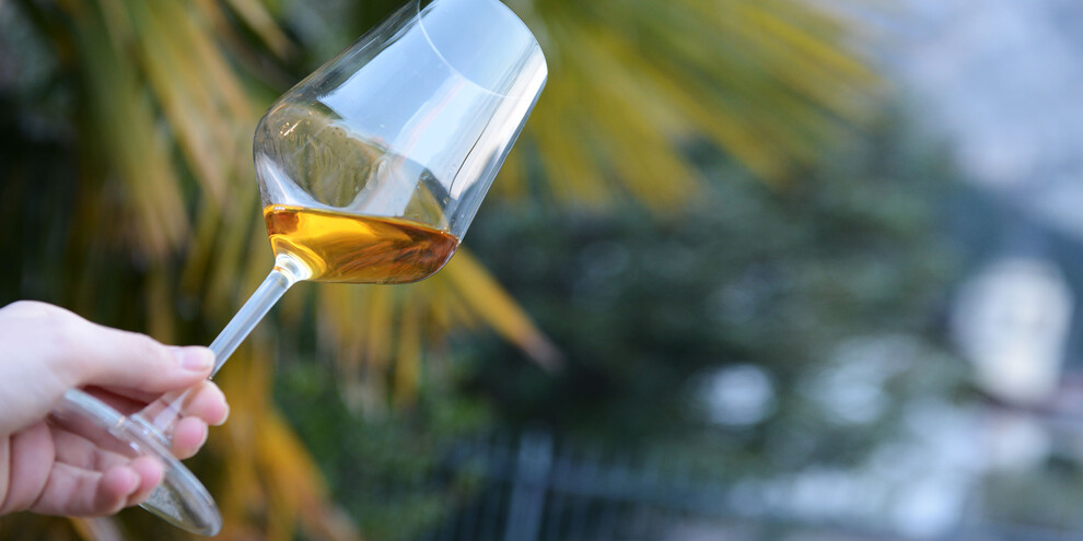 Die Wein-und Genussstraße im Trentino