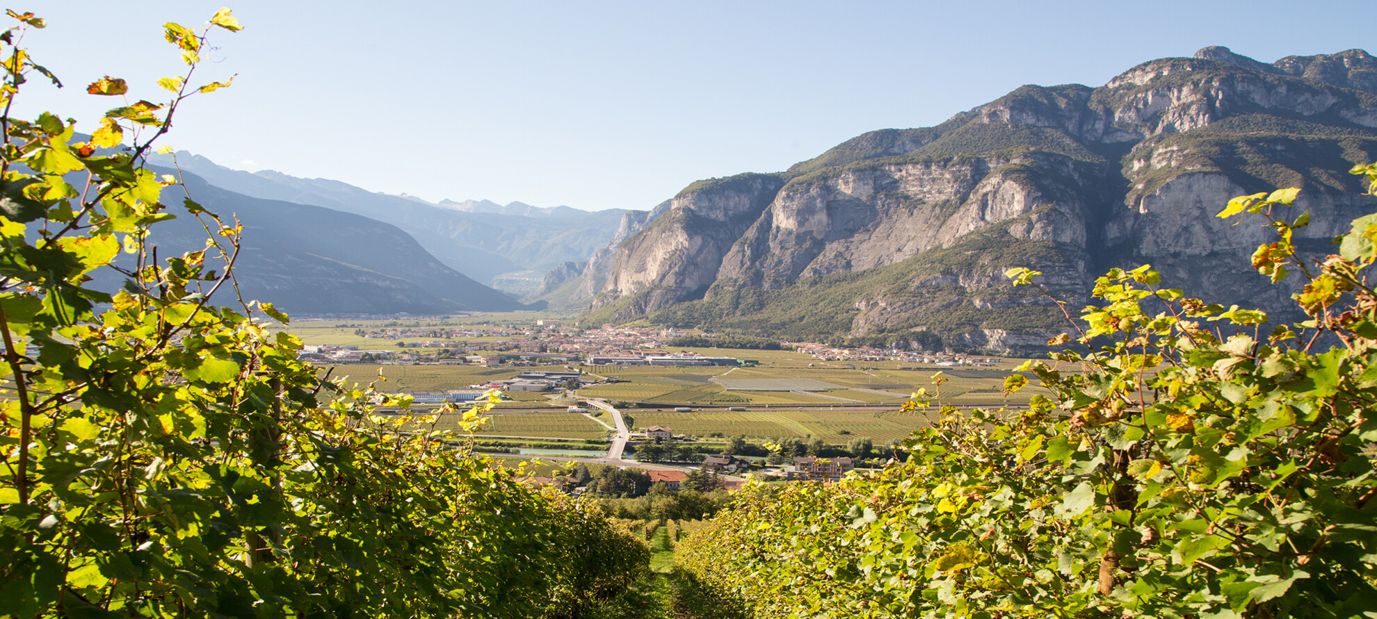 Kostbarer roter Rubin