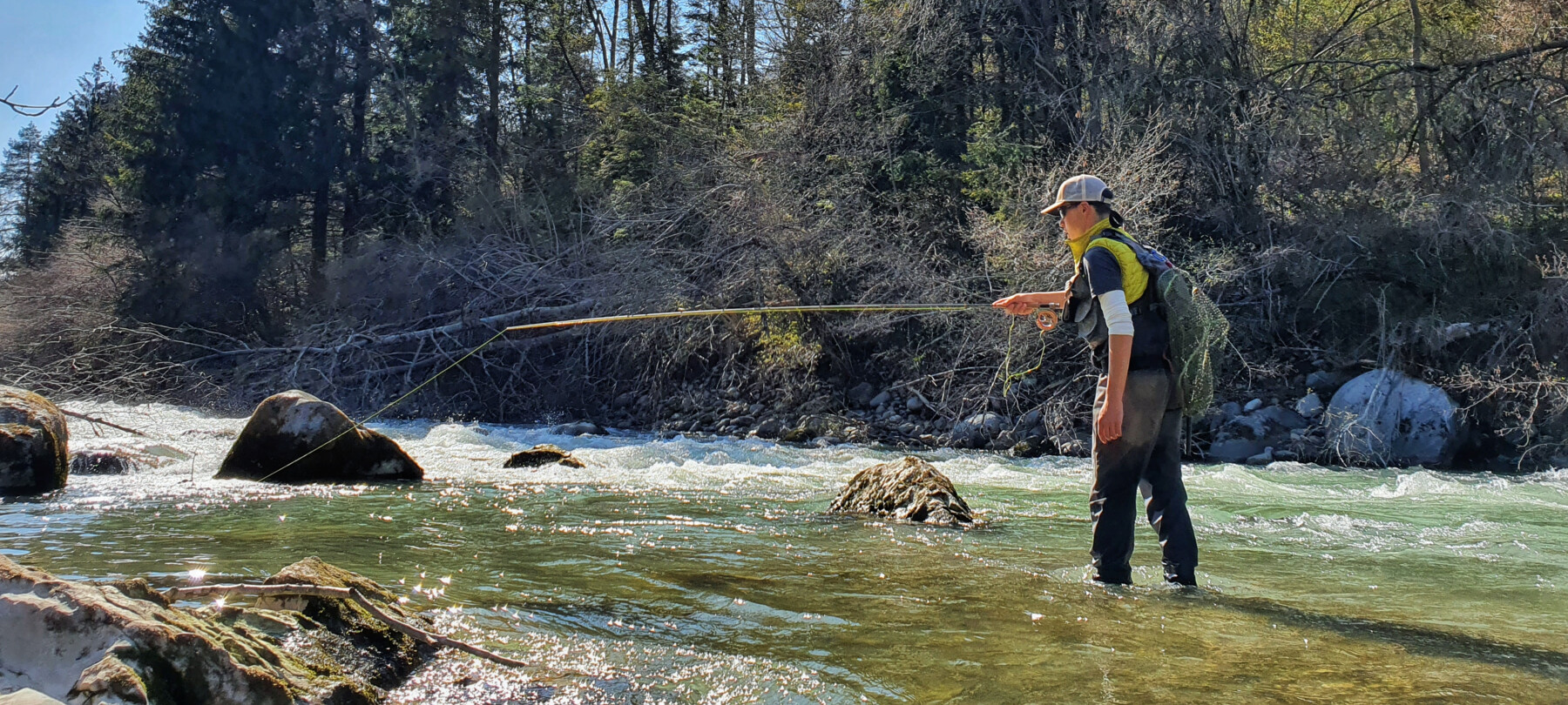 Pesce Temolo: Guida Alla Sua Pesca in Trentino