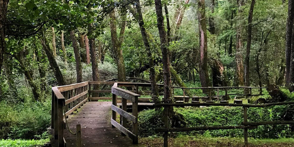 Биотоп Ронченьо, Вальсугана