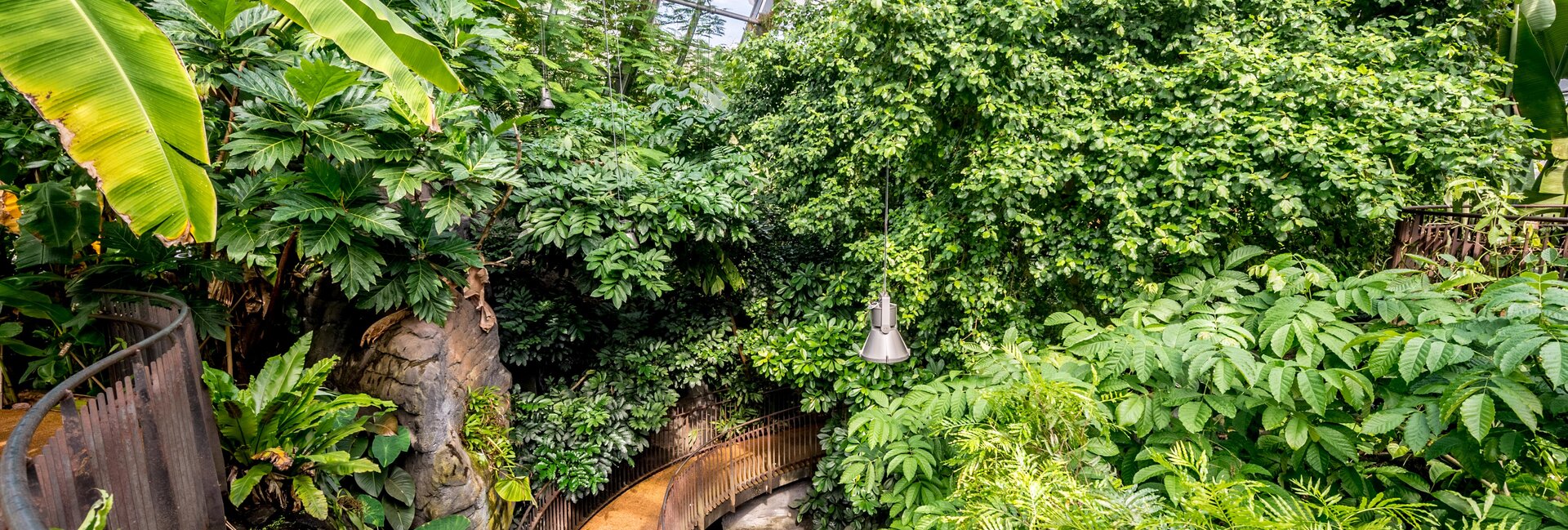 Das MUSE - Museum für Wissenschaft