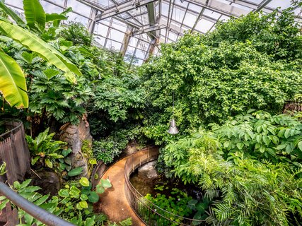 Das MUSE - Museum für Wissenschaft