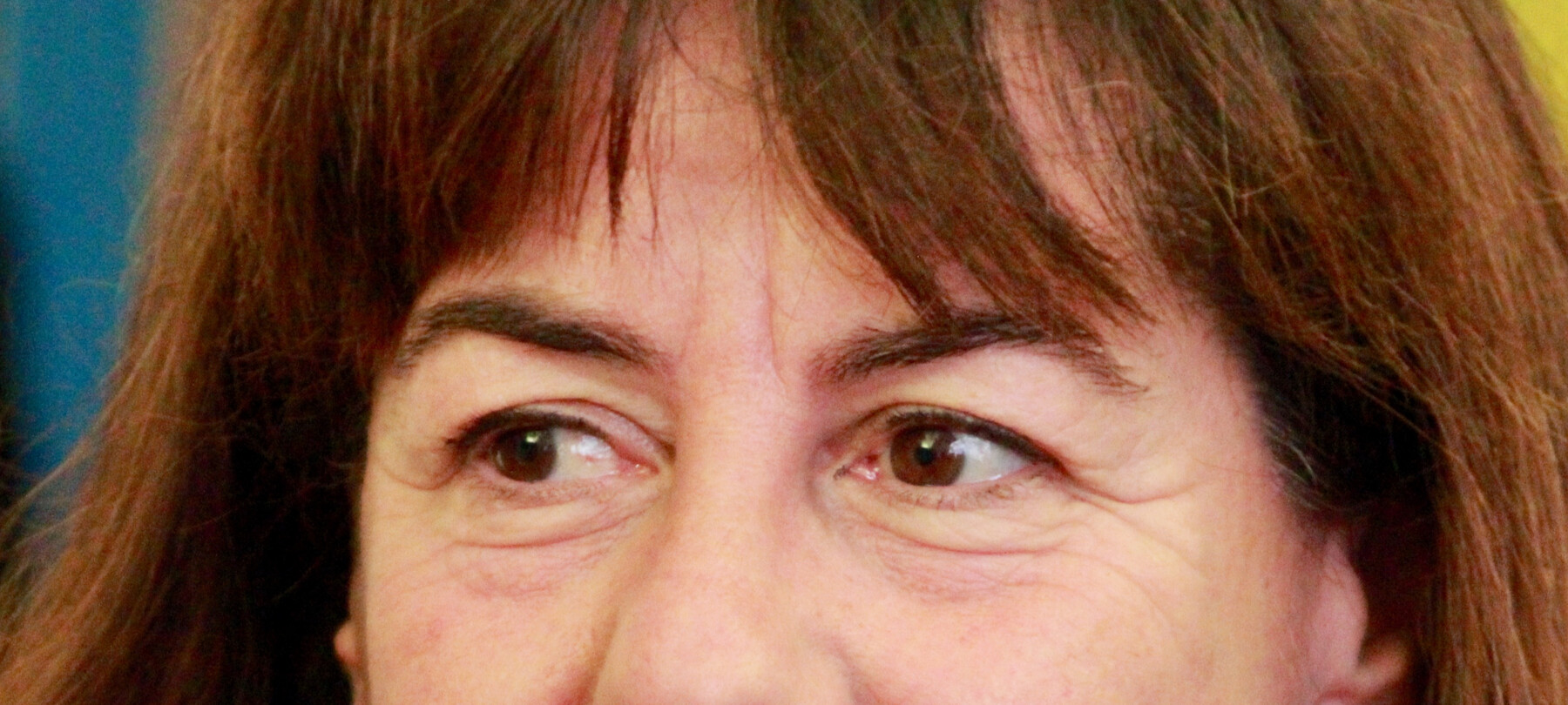 Die SAT hat ihr 150. Jubiläum und feiert die Geschichte und Zukunft des Trentino.