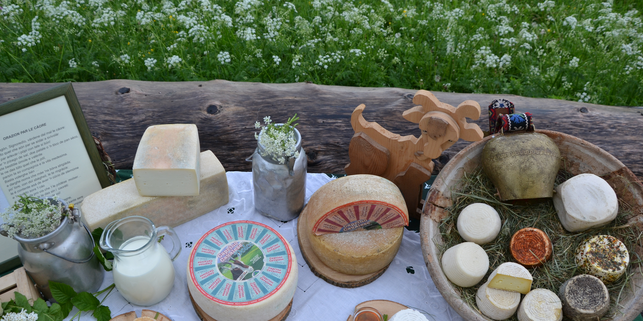 Der Caprino-Ziegenkäse aus Cavalese #1