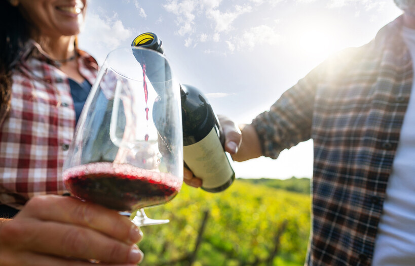 Besuche alle Teroldego-Weinkellereien