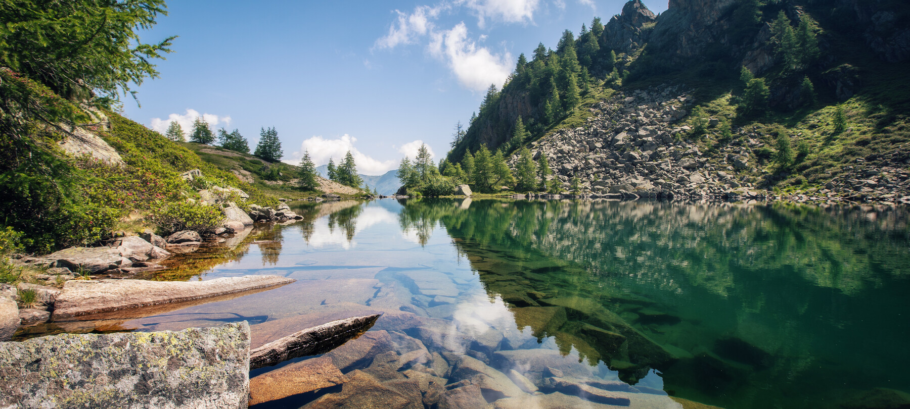 Salmerino Alpino: Guida alla Sua Pesca nei Laghi Alpini