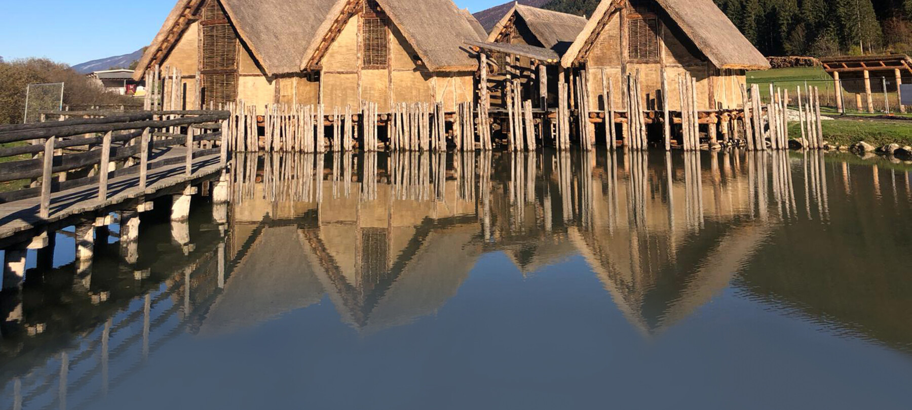 Mostre in Trentino | Trento, Rovereto e alte località