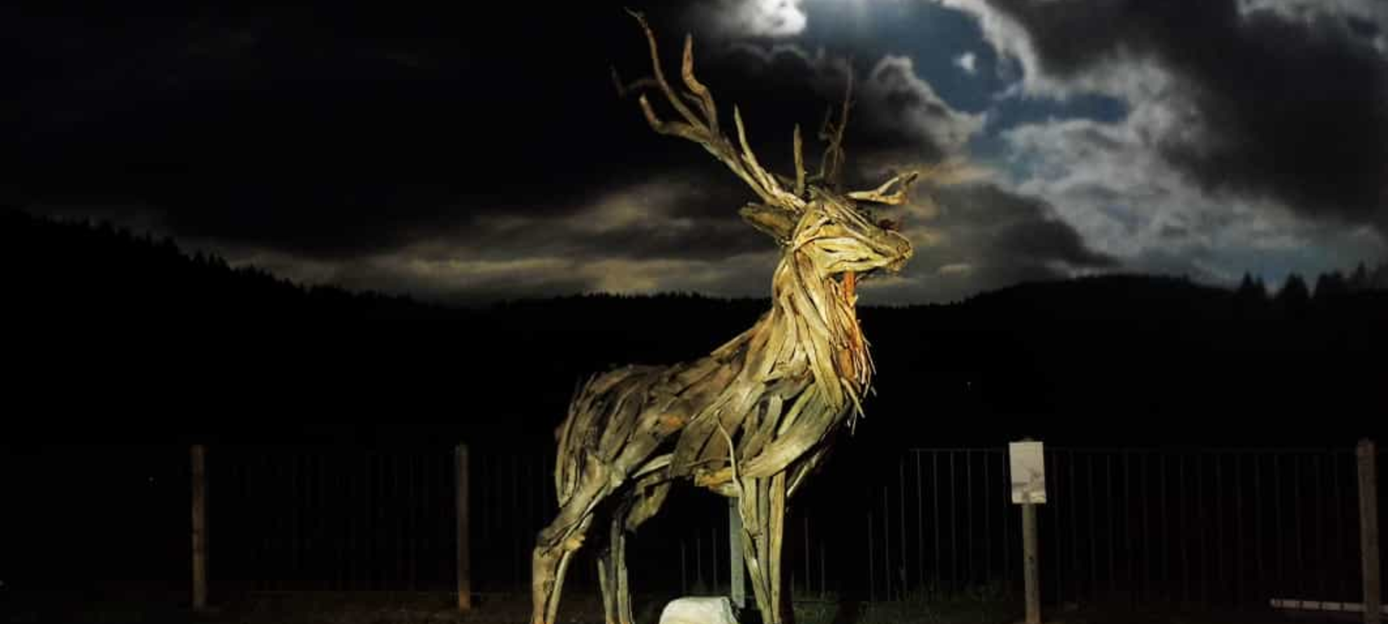 Cervo di Vaia | © App Mio Trentino