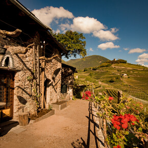 Valle di Cembra - Panorama con i vigneti e terrazzamenti | © Enzo Romano