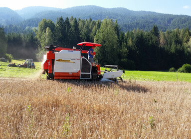 Campo d'orzo | © Archivio Trentino Mktg