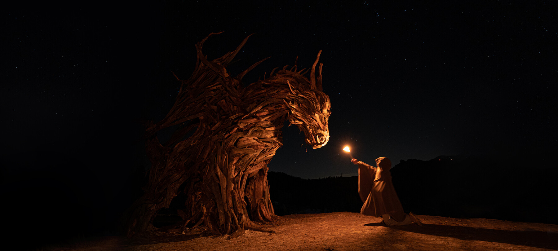 Drago alato Vaia: tutto quello che devi sapere per la visita