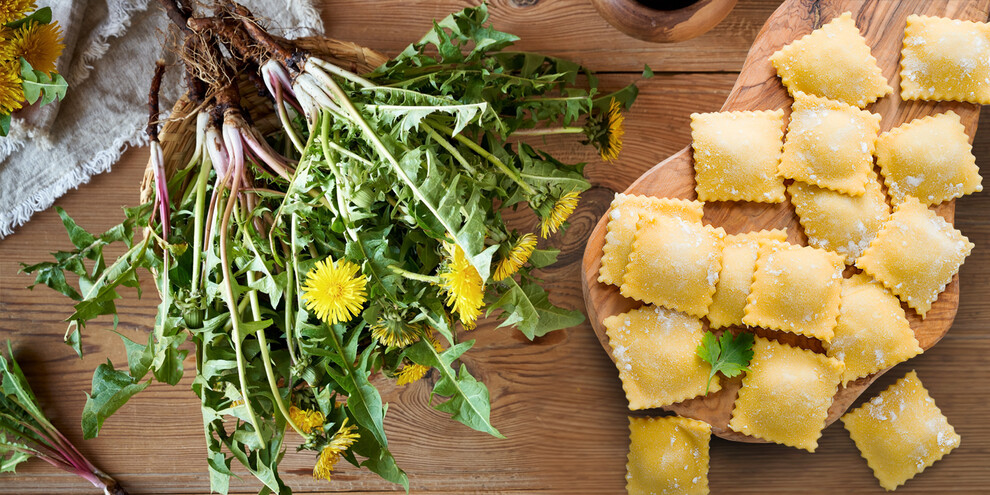 Ravioli mit Löwenzahn