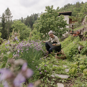 Die ersten Wildkräuter im Frühling