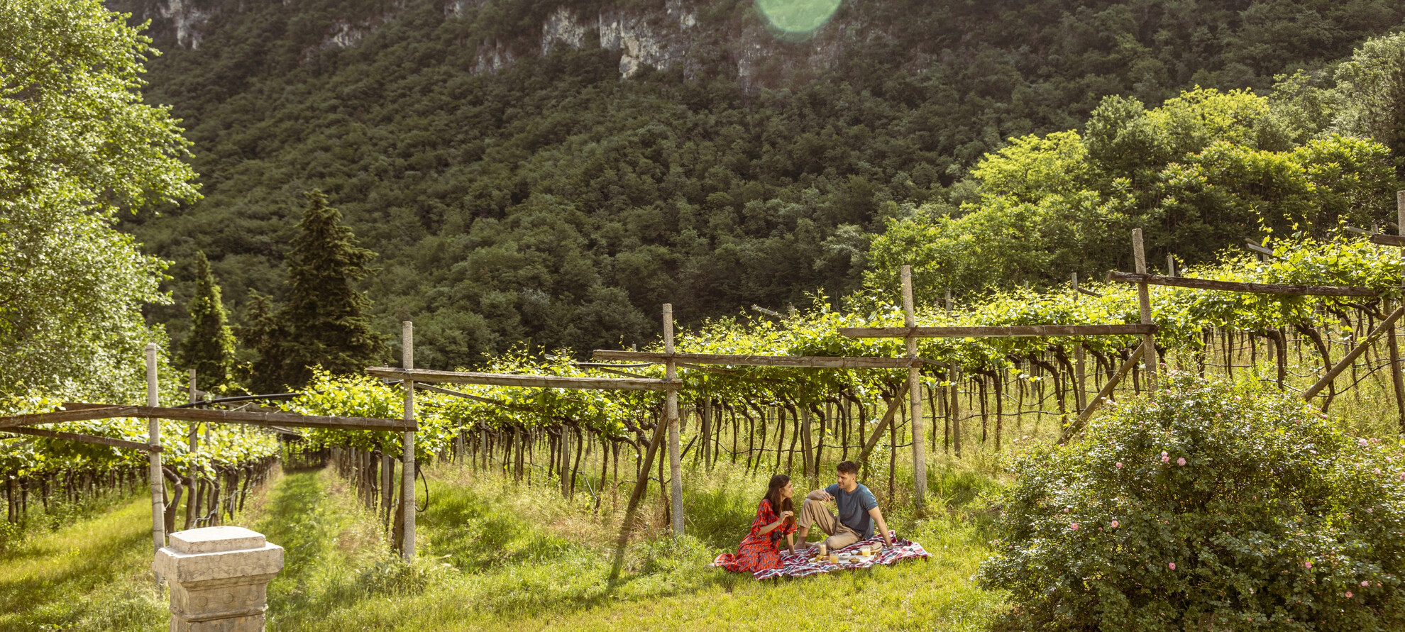 Vallagarina - Avio - Azienda Agricola Vallarom - Picnic nel vigneto | © Albert Bernasconi