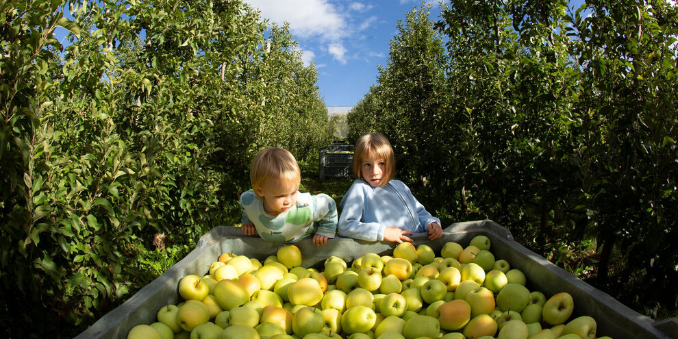 Adotta un melo | © App Mio Trentino