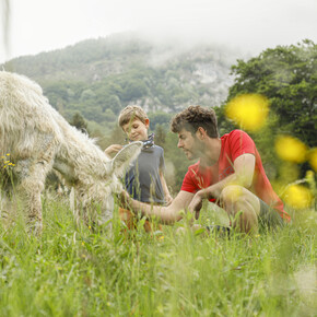 Vallagarina - Monte Baldo - San Giacomo - Agritur Malga Mortigola - Famiglia con asino | © Alberto Bernasconi