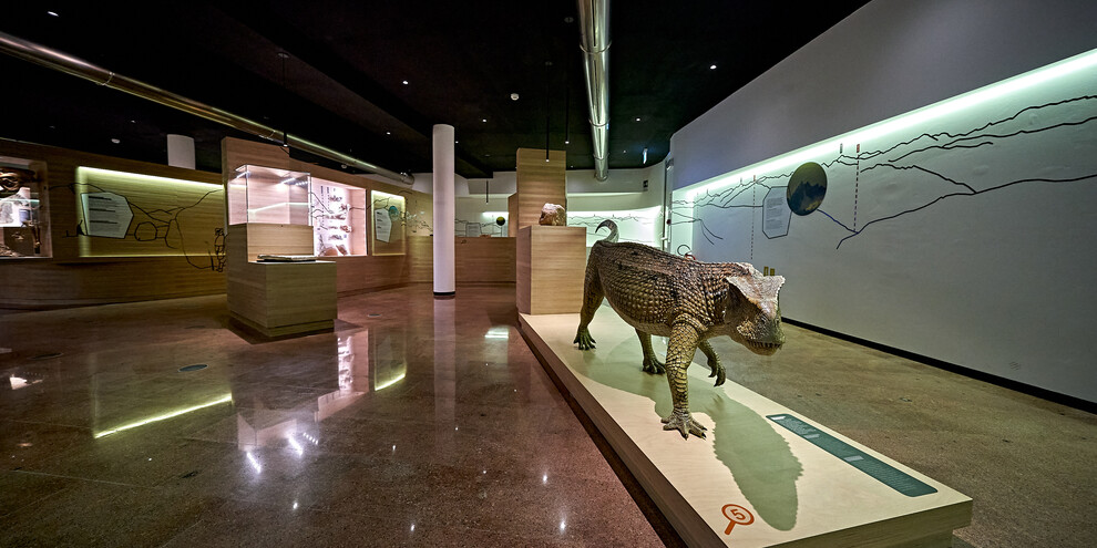 Val di Fiemme - Predazzo - Museo Geologico delle Dolomiti di Predazzo | © Paolo Bisti - Luconi