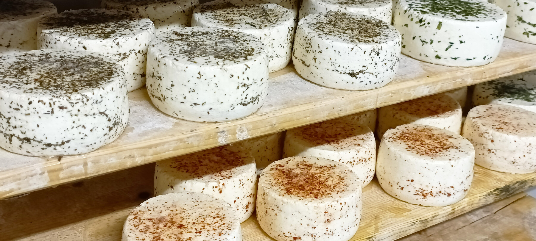 Caciotte Latte Ledro | © Archivio Trentino Mktg