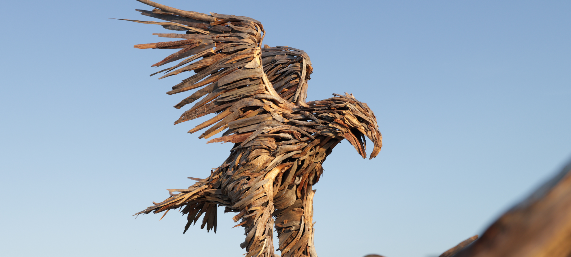 Aquila di Marcesina - Valsugana | © Sebastiano Montibeller