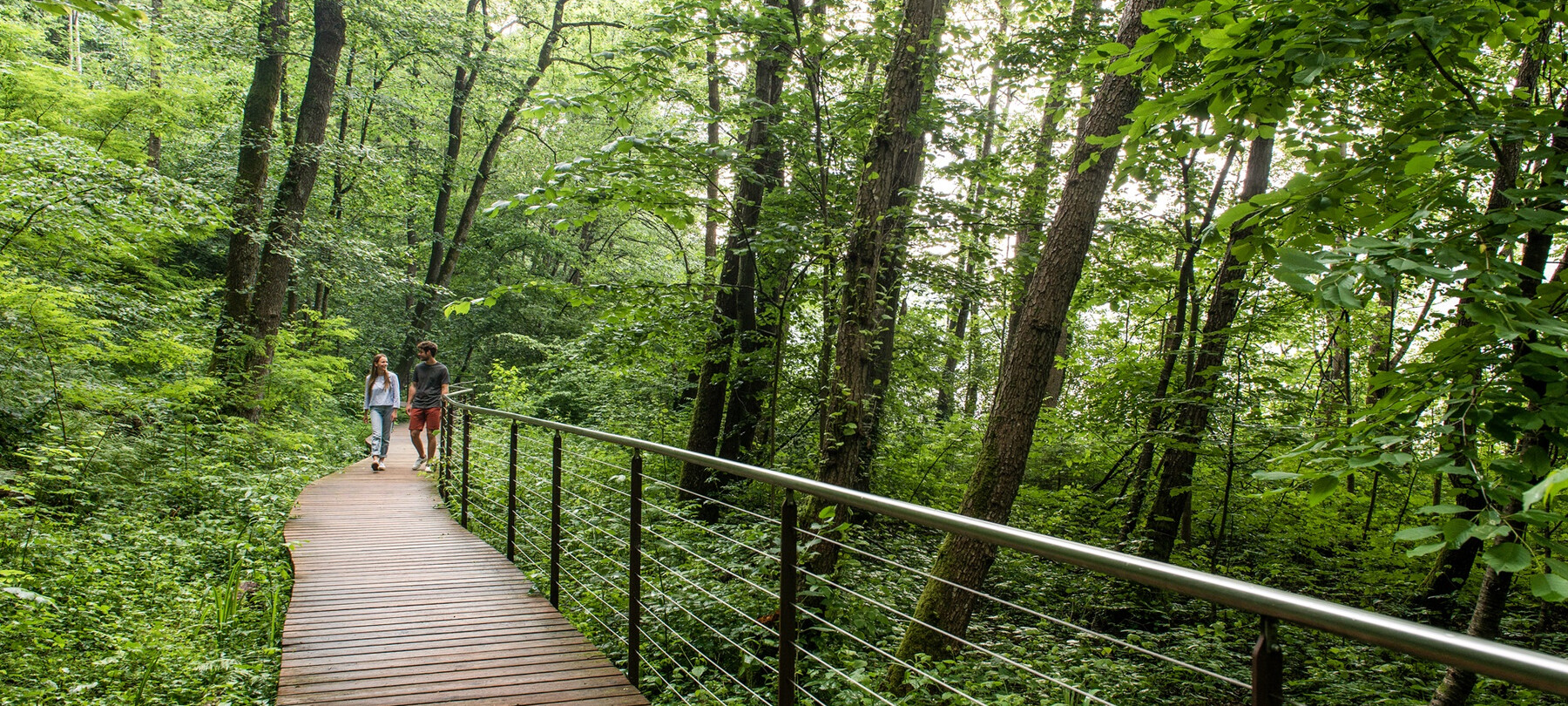 Valsugana and Lagorai: the 6th section of the Path of Peace