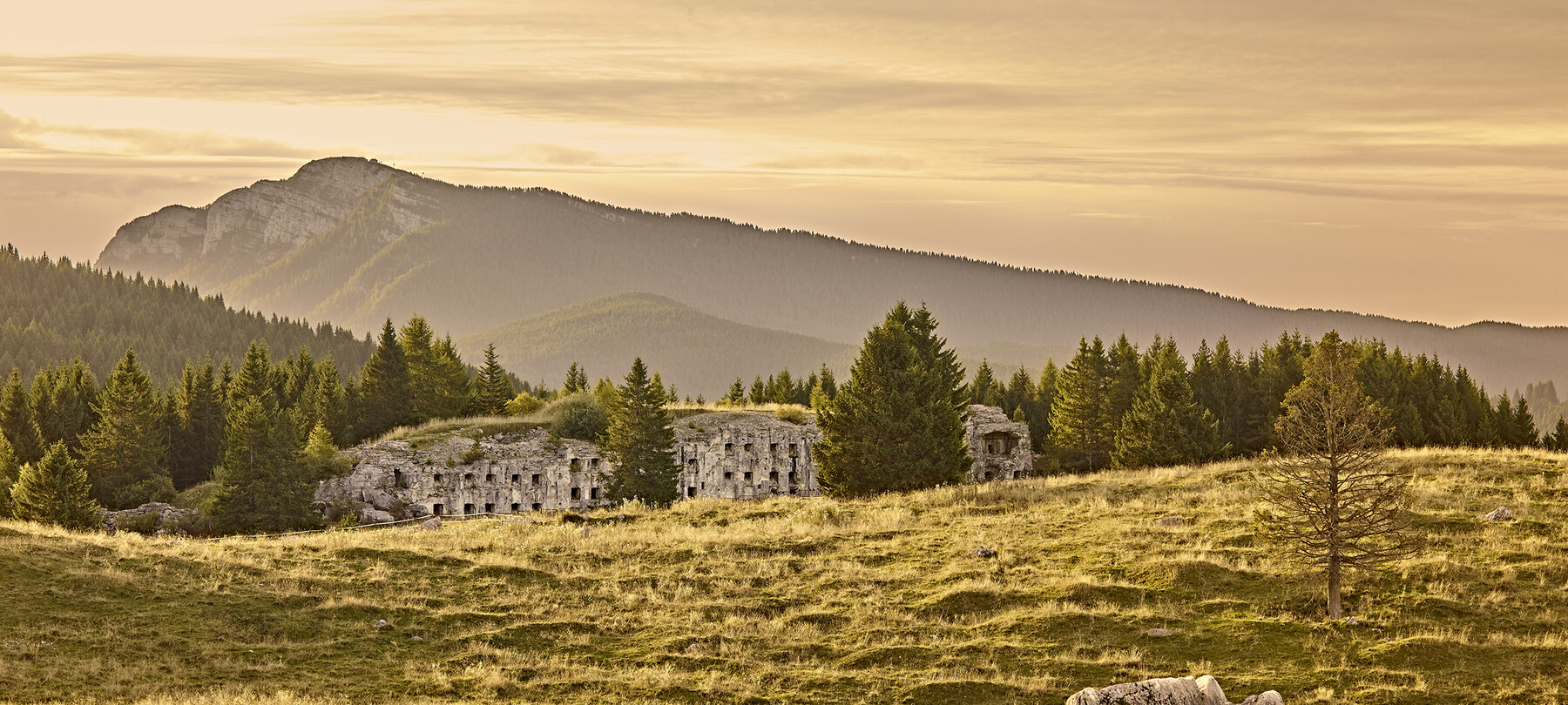 Friedensweg - Sentiero della Pace: Abschnitt 5 | Alpe Cimbra