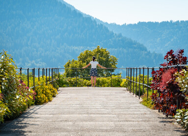 Pieve Tesino - Punto panoramico | © Fotografo: Videonaria