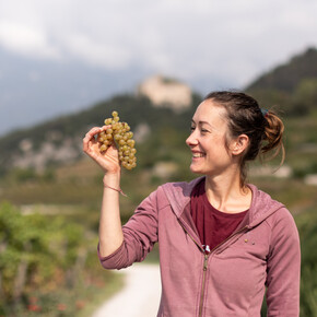 Bílé hrozny z Trentina