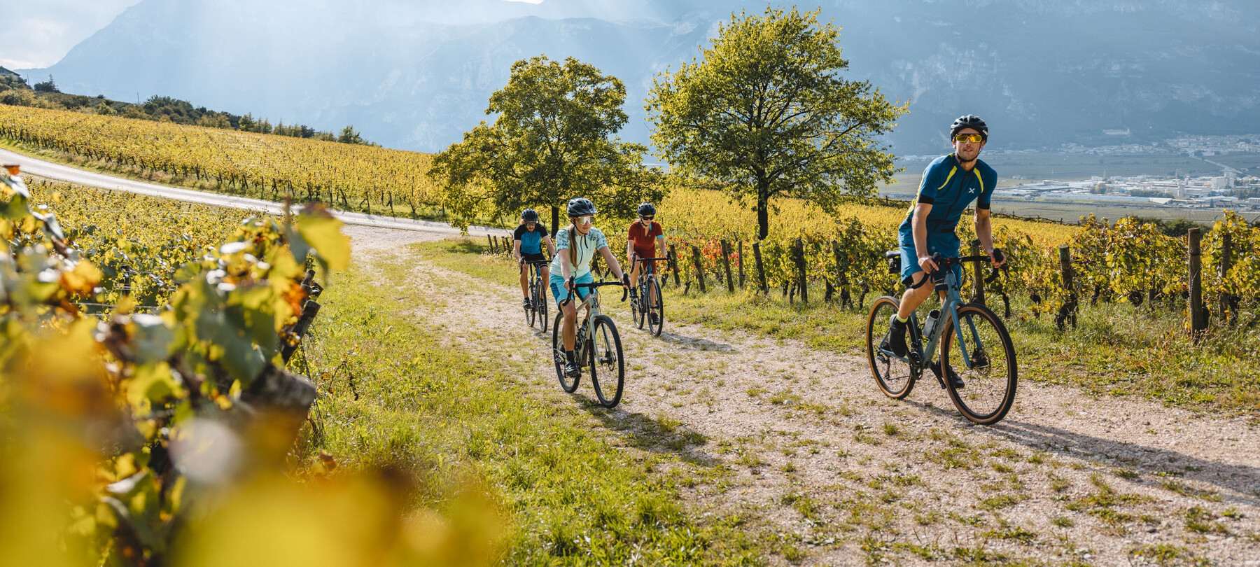 Dolomiti Paganella - Piana Rotaliana -  | ©  Mathäus Gartner