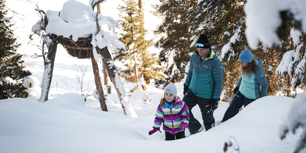 Hunting the dragons of Latemar Mountain