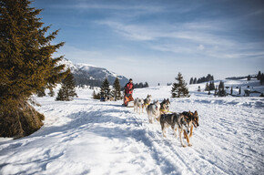 Giardino botanico di Passo Coe 
