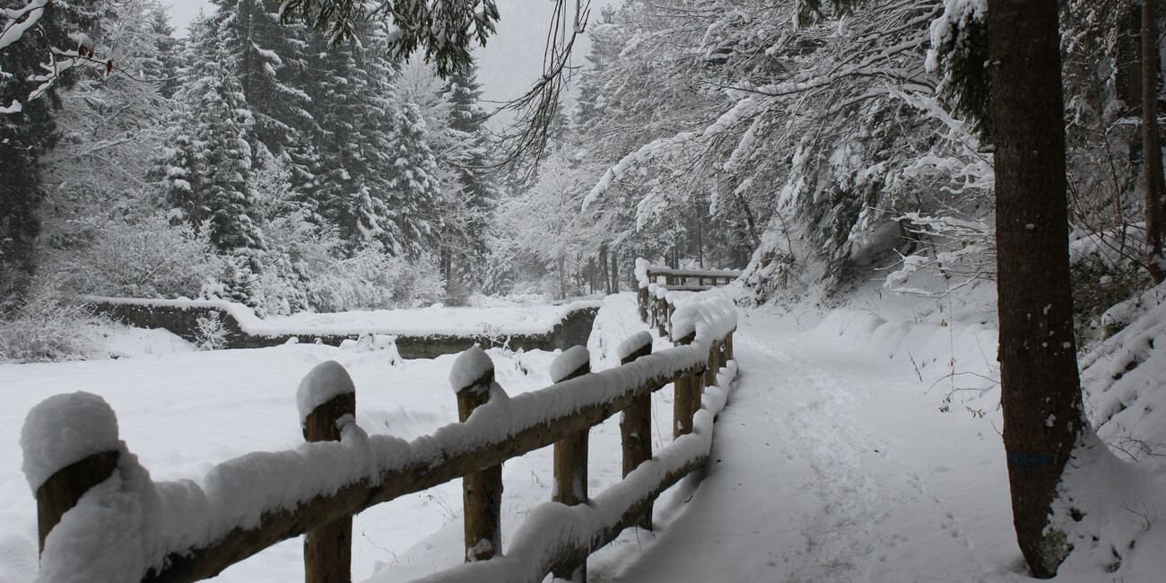 Sentiero Naturalistico Val Concei  #4