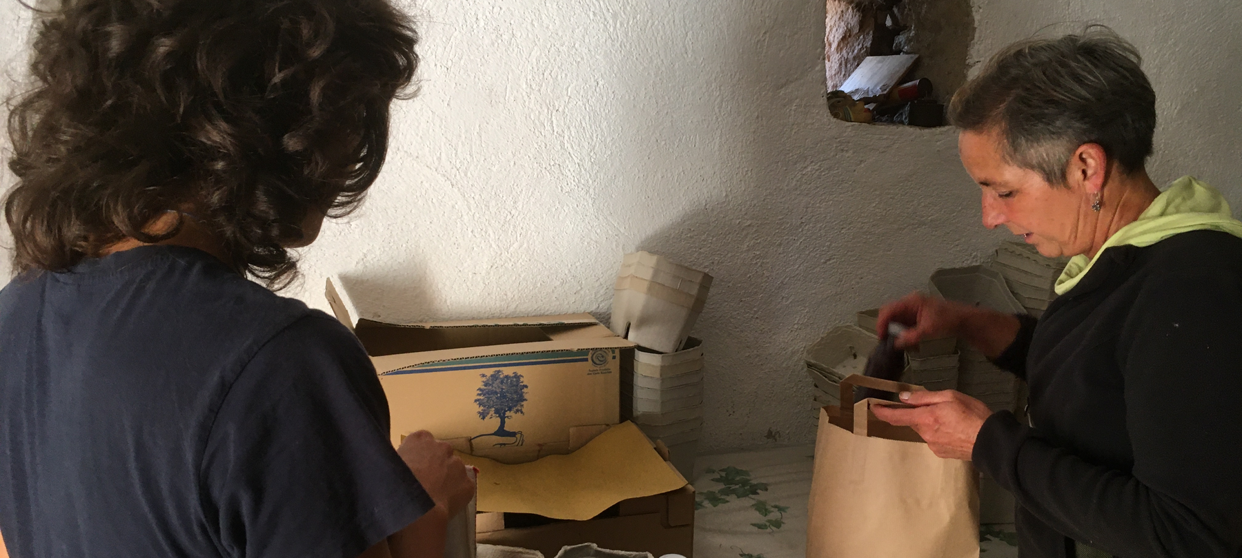 Heidelbeeren aus der Trentiner Lieferkette