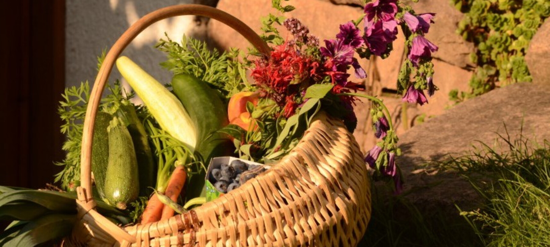 Heidelbeeren aus der Trentiner Lieferkette