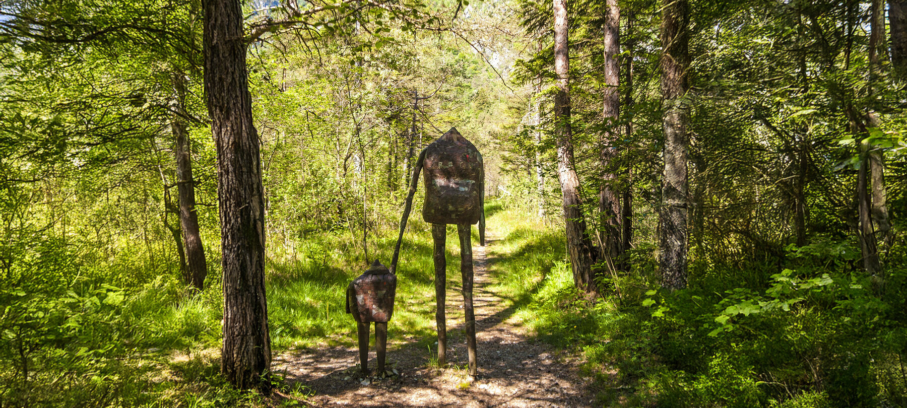 Nachhaltige Alpe Cimbra