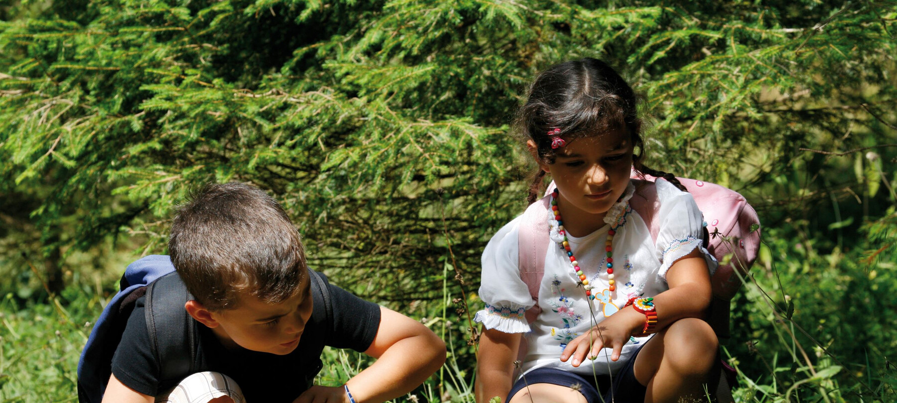 In Alpe Cimbra con i bambini in estate: sulle tracce del drago
