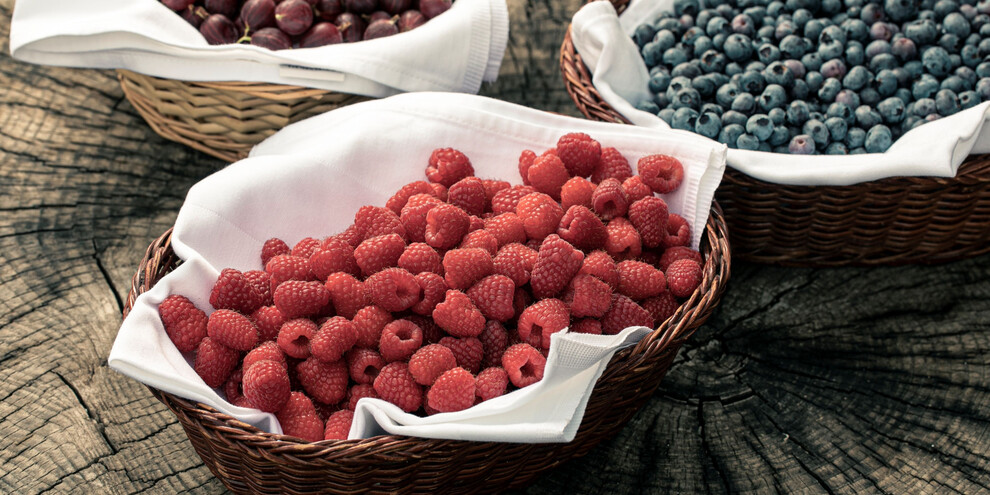 Agritur Dalaip dei Pape - Piccoli frutti | © Alberto Blasetti