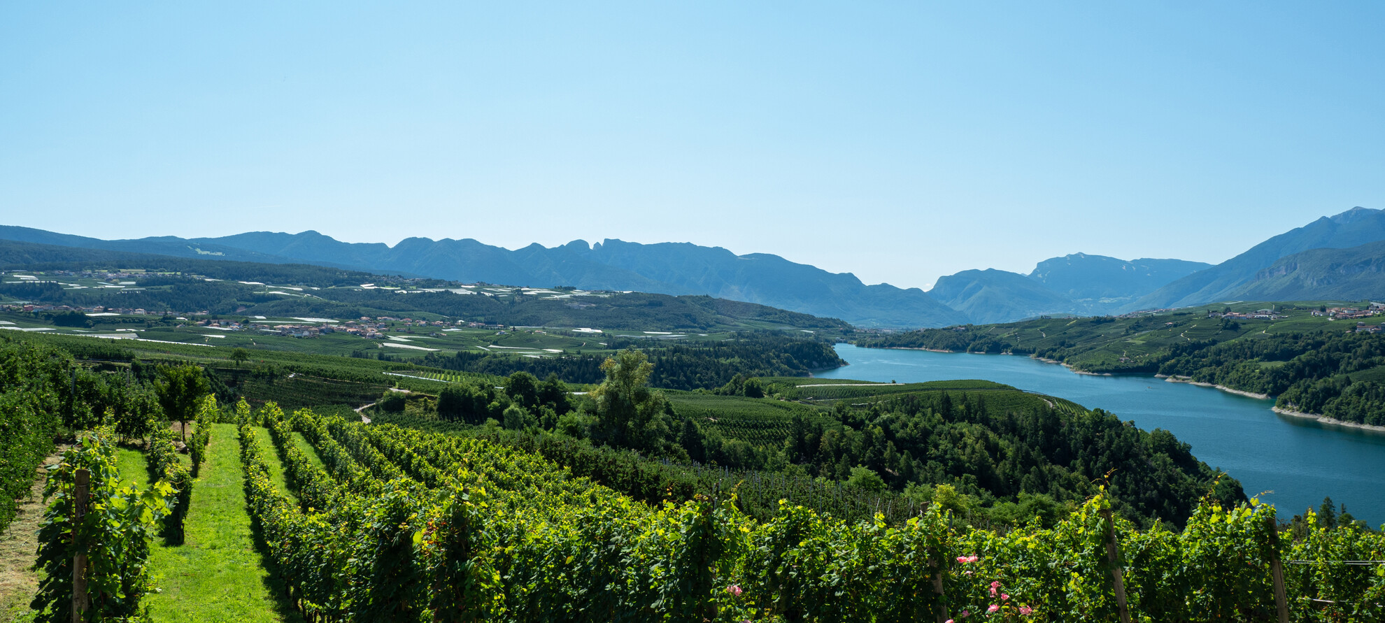 For lovers of wine and nature