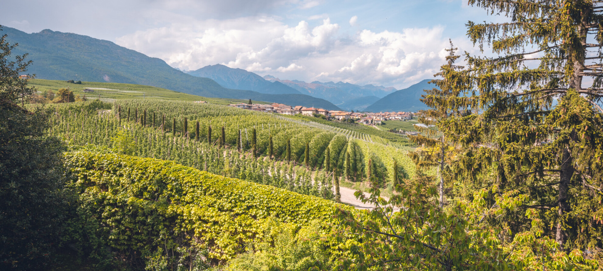 Labor der Nachhaltigkeit