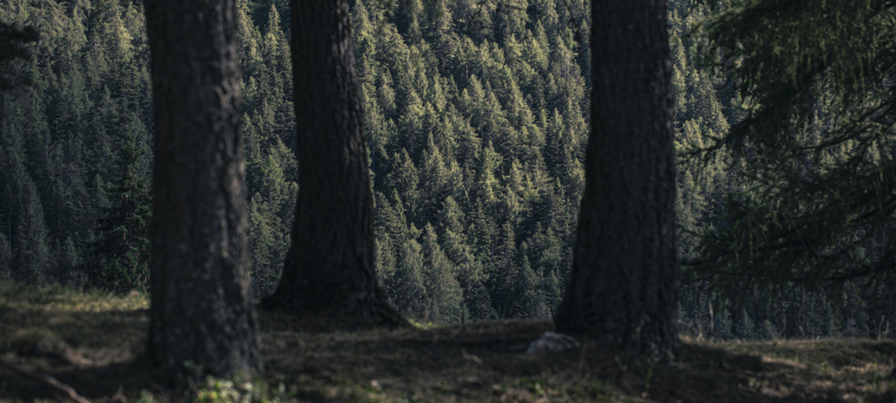 Nachhaltiges Val di Non