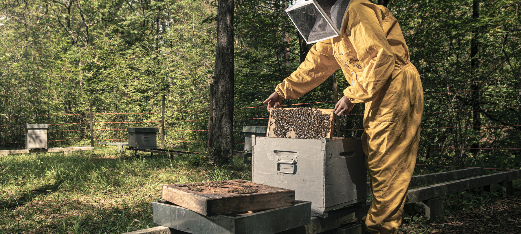 Nachhaltiges Val di Non