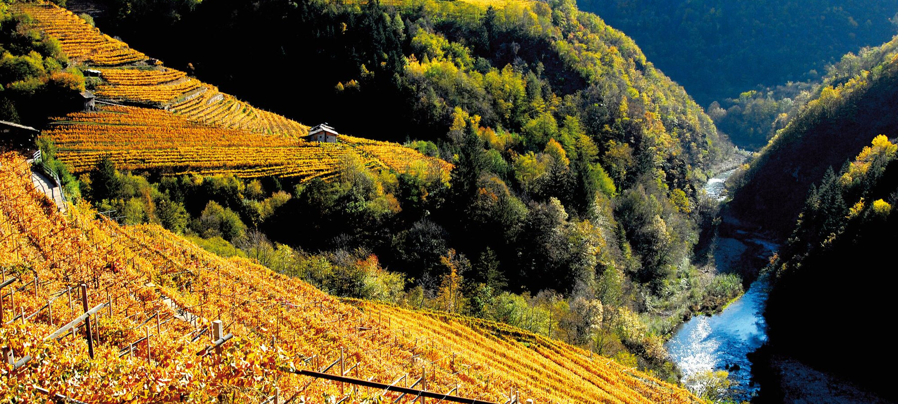 Trockenmauern im Trentino 
